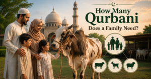How Many Qurbani Does a Family Need?